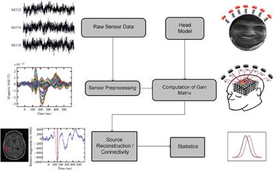 NUTMEG: Open Source Software for M/EEG Source Reconstruction